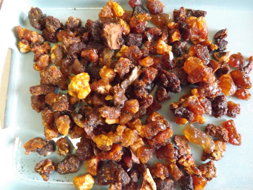 Incenso opoponax Incenso opoponax