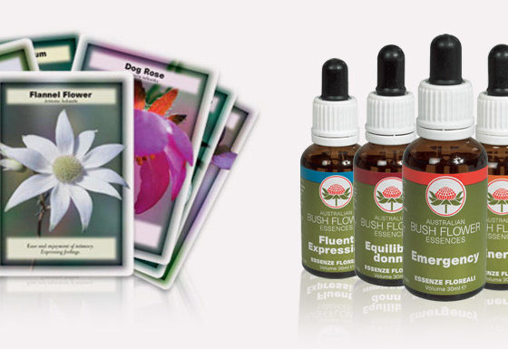 Carte dei fiori australiani – Flower Insight Cards