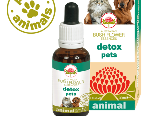 Detox Pets Detox Pets