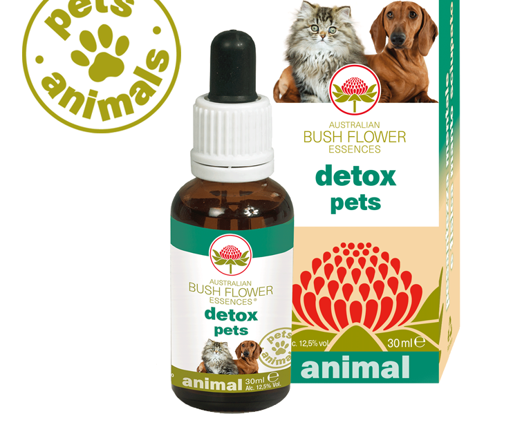 Detox Pets