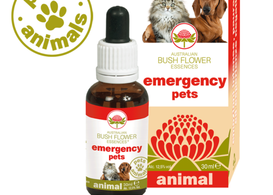 Emergency Pets Emergency Pets
