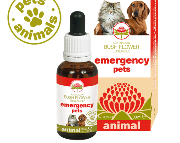 Emergency Pets
