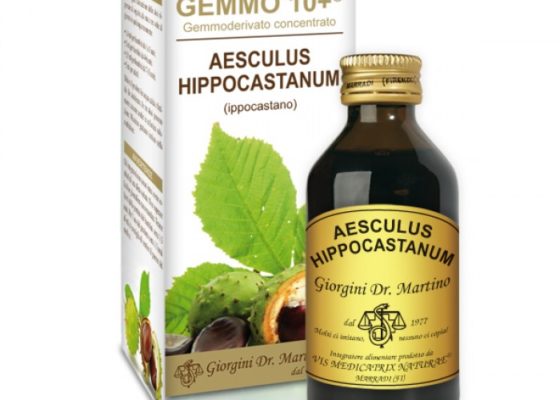 Ippocastano Ippocastano