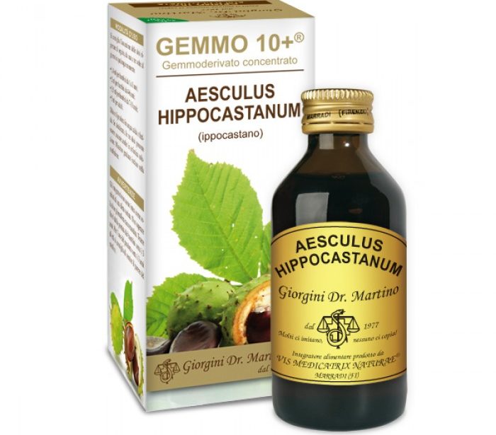 Ippocastano