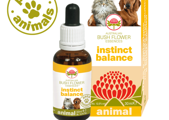 Istinc balance Istinc balance