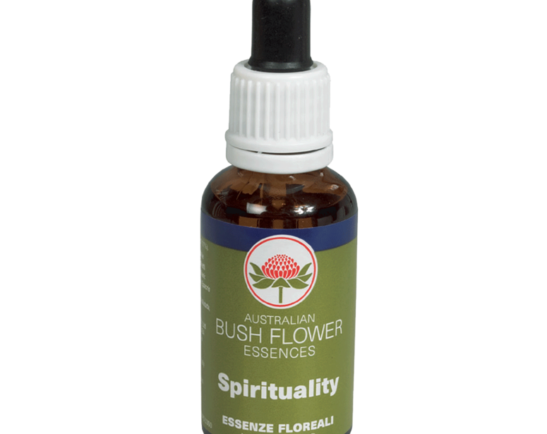 Spirituality Spirituality
