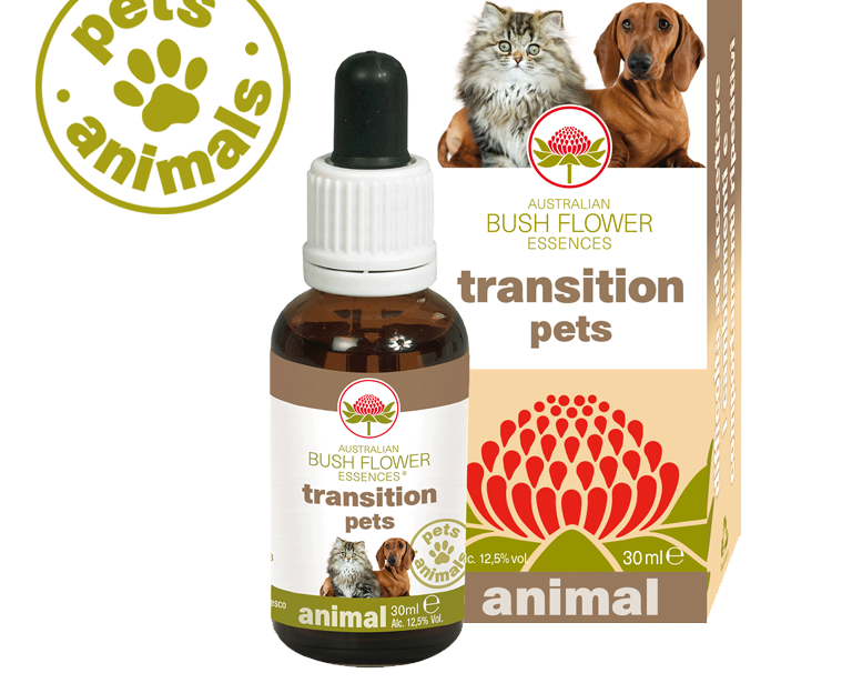 Transition pets Transition pets