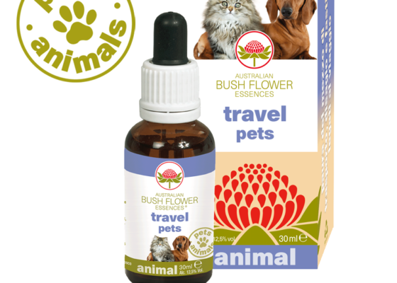 Travel pets Travel pets