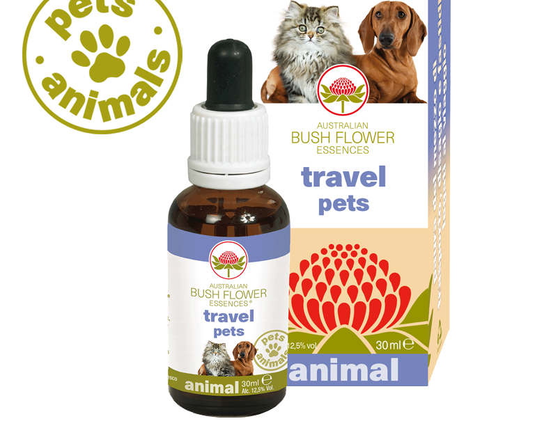 Travel pets Travel pets