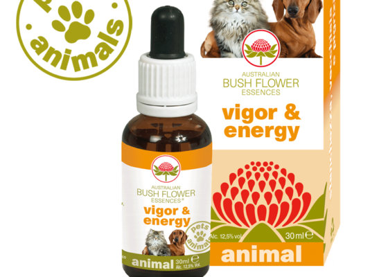 Vigor & energy Vigor & energy