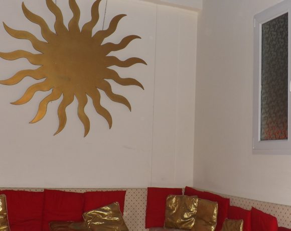 Noi e i nostri amici – galleria Noi e i nostri amici – galleria